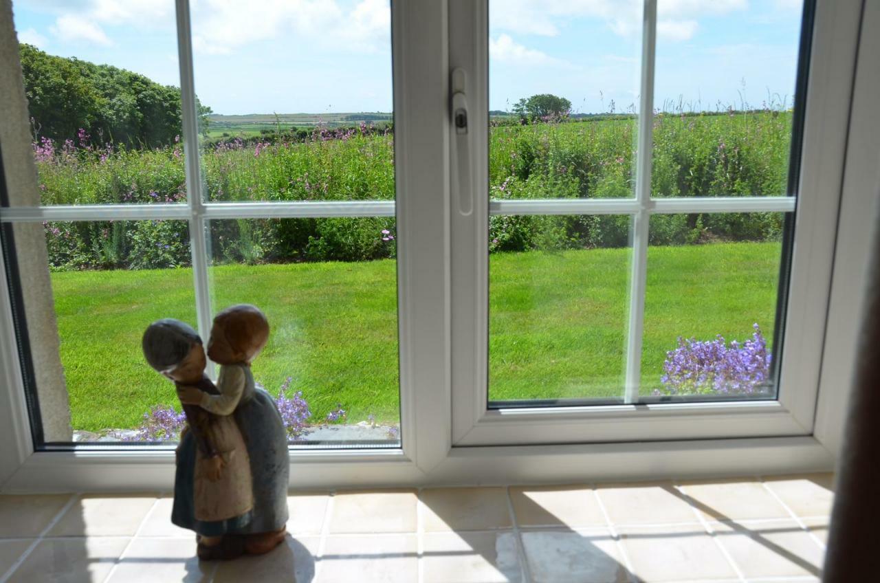 Snowdrop Cottage @ Ty-Llwyd Treffynnon エクステリア 写真